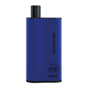 Blueberry Mint Fume Infinity