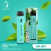 Cool Mint-2000 Puffs