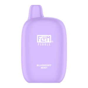 Blueberry Mint FLUM Pebble