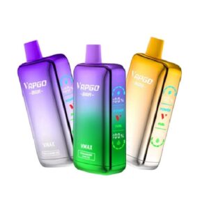VAPGO BAR Vmax Disposable Vape (5%, 12000 Puffs)